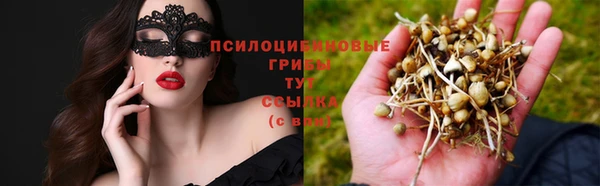 PSILOCYBIN Лабытнанги