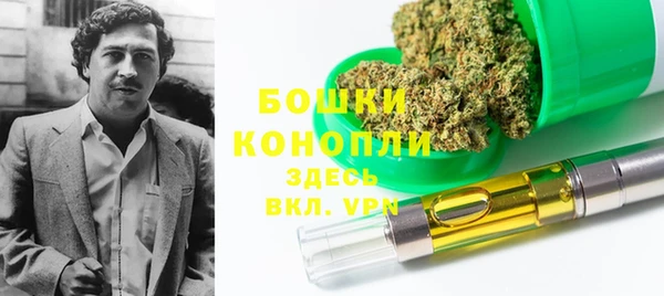 PSILOCYBIN Лабытнанги